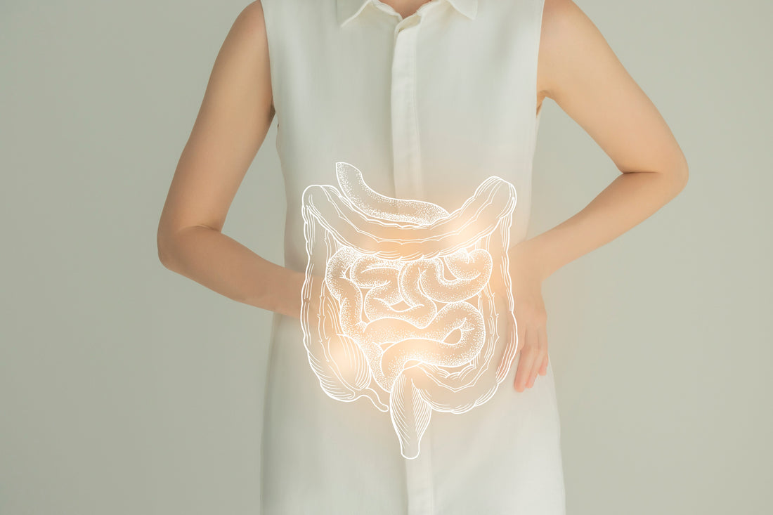 A happy gut equals a healthy body