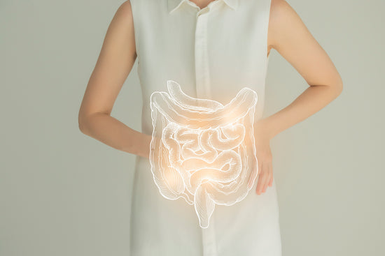 A happy gut equals a healthy body