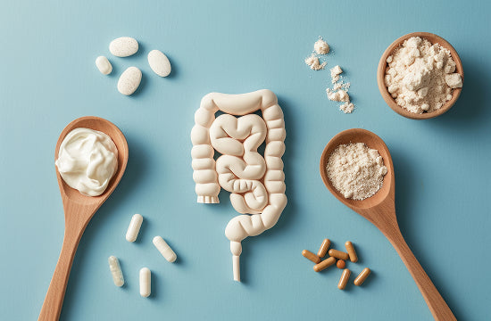 What is a prebiotic — and why does it matter?